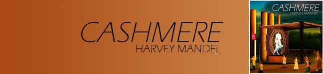 Harvey Mandel Cashmere