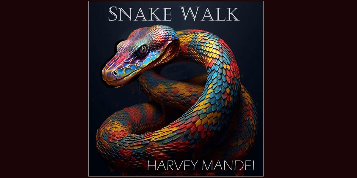 【新品未開封】【レコード】Harvey Mandel The Snake 61WqzdWhYSL._UF1000,1000_QL80_.jpg